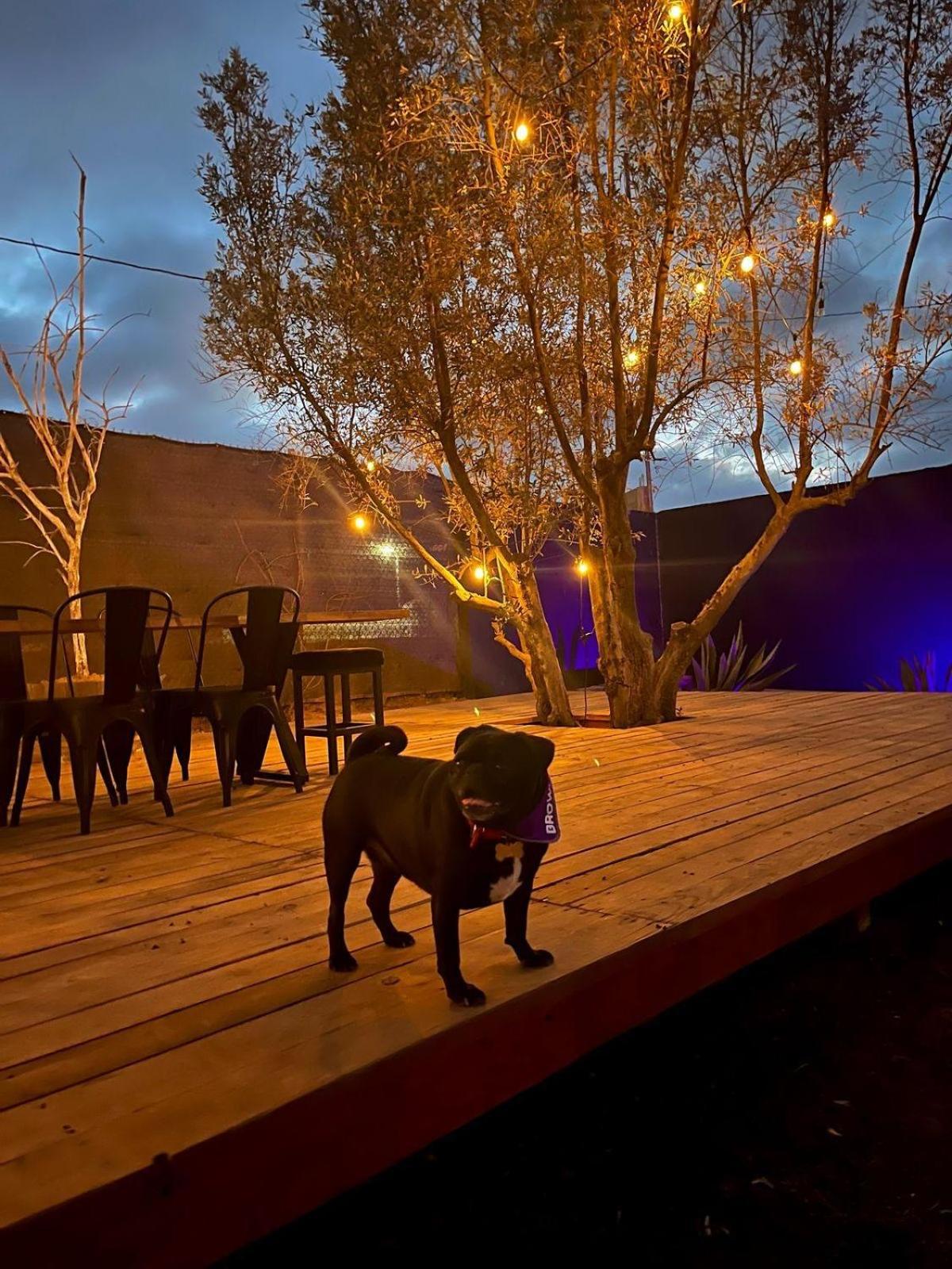 Finca Cazosa Valle de Guadalupe Extérieur photo